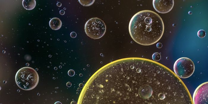 How Our Microbiomes Remain Stable or Change w Health & Illness