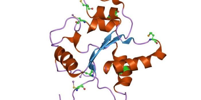 Discovery of Compound Provides New Hope for Treating Autoimmune Disease