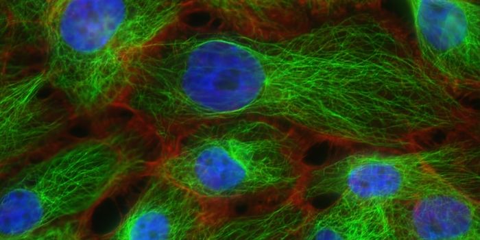 Computational Tool Advances Cell Imaging