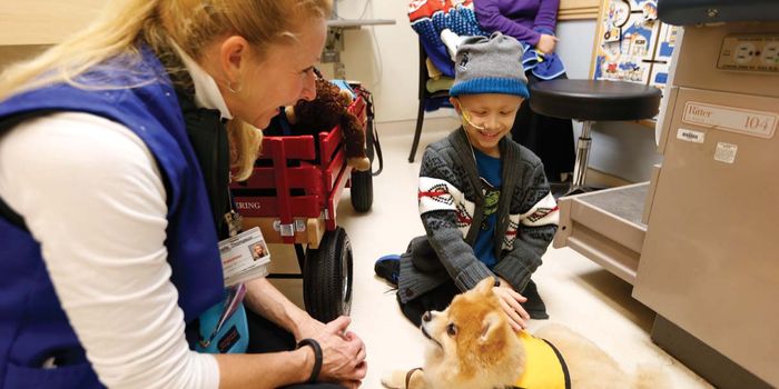 Therapy Dogs Cheer Kids With Cancer