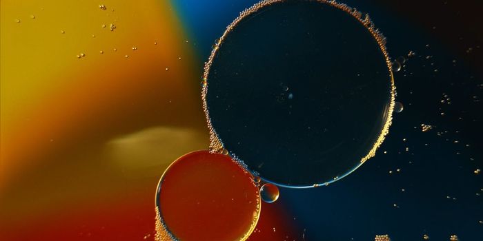 Oxygen Conditions Needed for Emergence of Complex Life Discovered