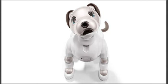 AIBO the AI Dog is Back to Woo Robot Lovers
