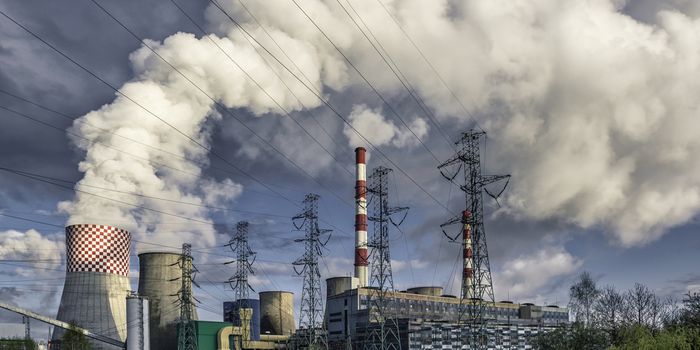 Air Pollution Blocks the Flow of Blood to the Lungs