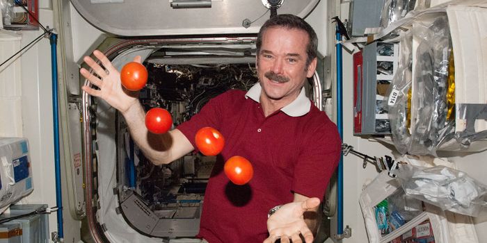 The Evolution of Astronaut Food