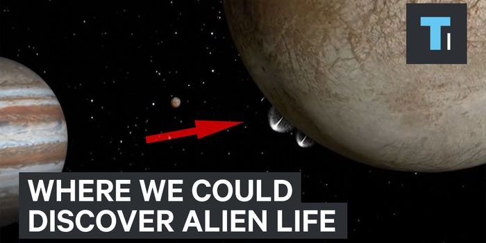 If We Ever Find Life Somewhere Besides Earth, Where Will it Be?