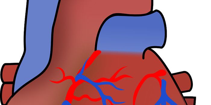 The Intersection of Mental Health and Cardiovascular Outcomes