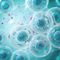 Rapid Mycoplasma Detection in Cell Culture and Bioprocessing