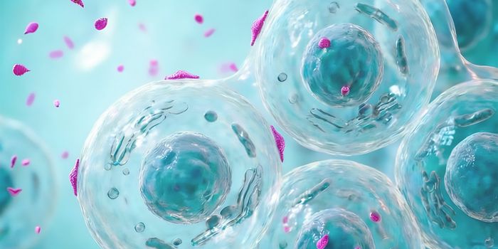 Rapid Mycoplasma Detection in Cell Culture and Bioprocessing
