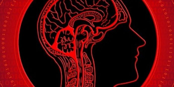 Sydney Brain Bank and CTE