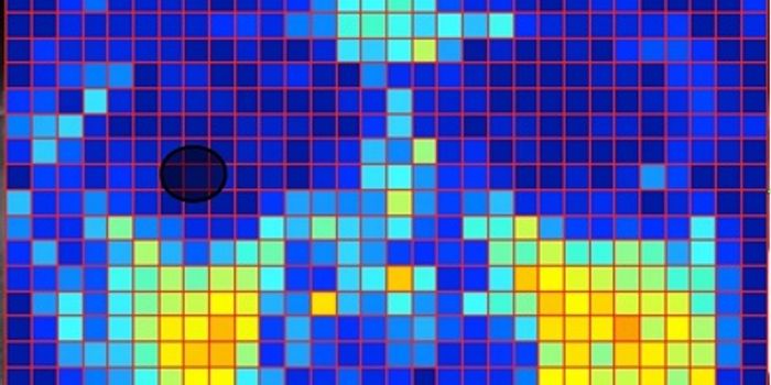 How Do You Feel? Video of Your Face May Tell All