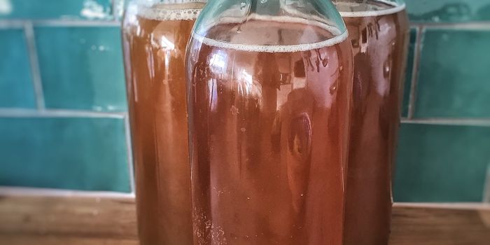 Unlocking the Potential: Kombucha's Impact on Fasting Blood Glucose Levels in Type 2 Diabetes