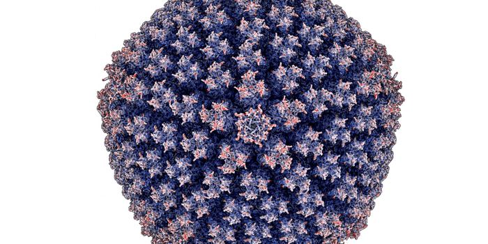 Enterovirus Images May Pave the Way to Edible Vaccines