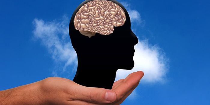 Is Technology Stealing Our Brain Power?