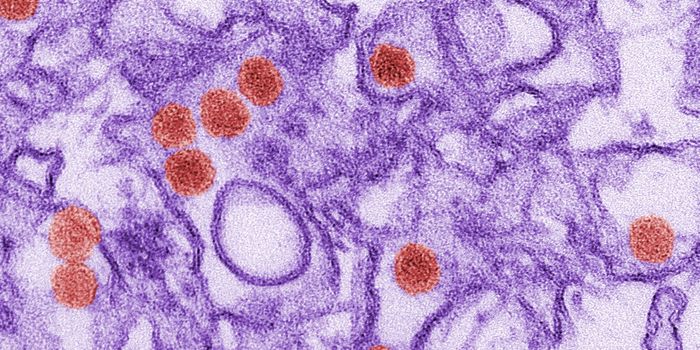A New Way to Detect Any Human Virus