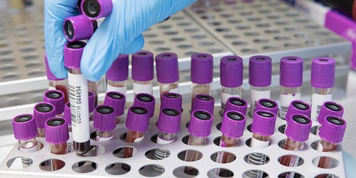 After Patient Infections, Scientists ID New Species of Bacteria