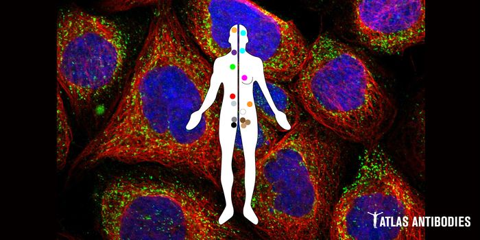 Favorable and Unfavorable Prognostic Genes in Human Cancers