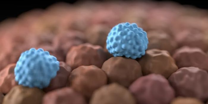 Insight Into How Dietary Changes Could Affect Cancer Therapies