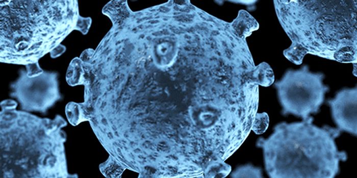 TSRI Scientists Get First-Ever Glimpse of ‘Teenage' HIV-Neutralizing Antibody