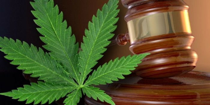 Virginia General Assembly Unanimously Passes Expanded Medical Cannabis Oil Bill
