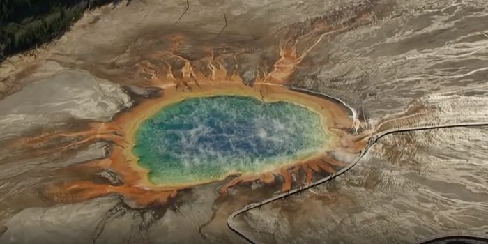 Why Yellowstone Hosts an Incredibly Diverse Microbial Community