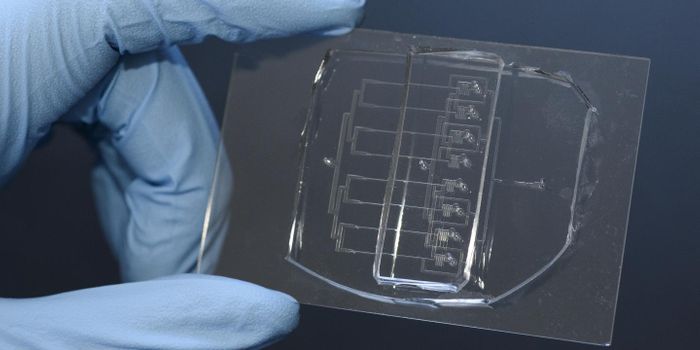 A Cellular Guillotine for Studying Regeneration