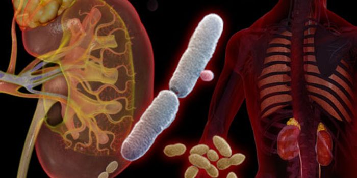 Smart catheter signals an infection