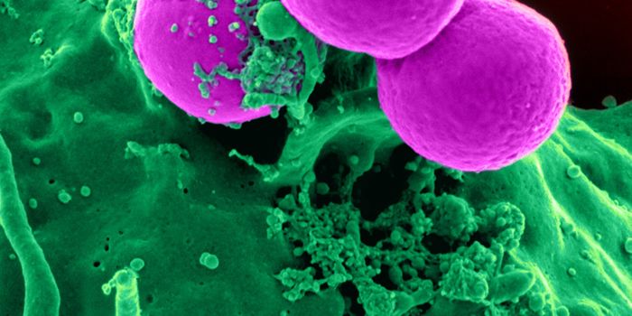 A microbiome-based therapy for cancer patients is a step closer to approval
