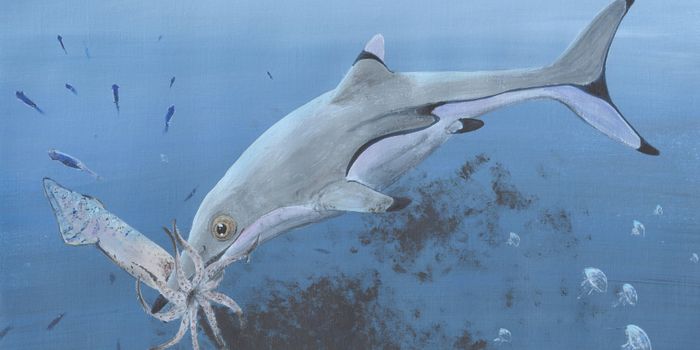 Prehistoric Ichthyosaur Fossil Sheds Light on its Last Meal