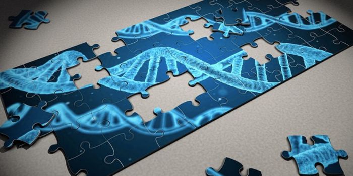 Genes Behind Learning & Memory are 650 Million Years Old