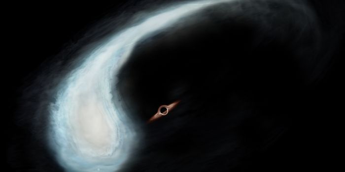"Tadpole" Gas Cloud Potentially Orbiting Black Hole