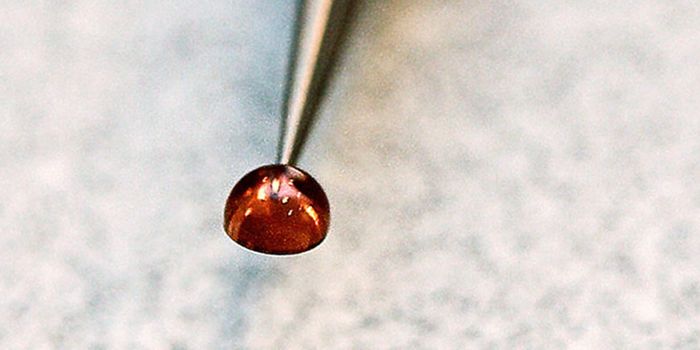 Giant virus requires team to retrofit microscope