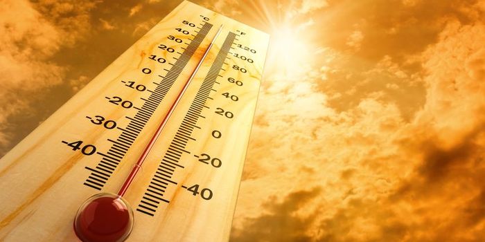 Identifying Symptoms of a Heat Stroke