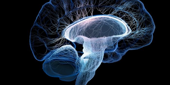 Schizophrenia and Endocannabinoid System Development/Expression in Mice