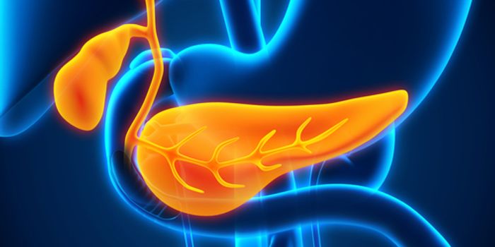 Nanotechnology Platform Shows Promise for Treating Pancreatic Cancer