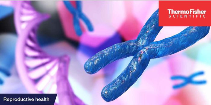 Enhance PGT-A Confidence with SNP-Based Quality Controls