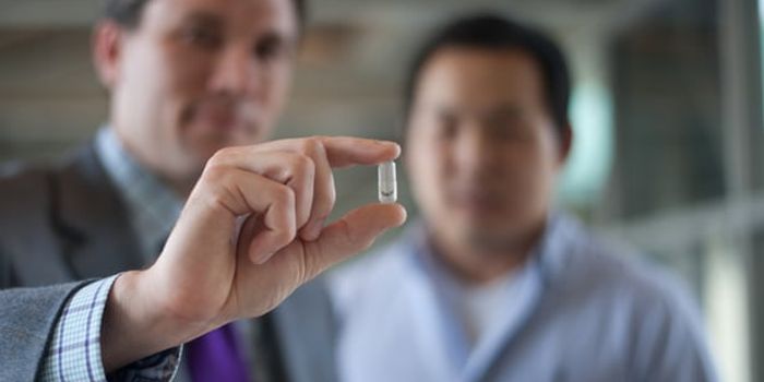 Edible Battery to Power Ingestible Medical Devices