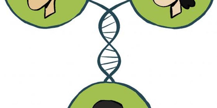 Scientists Find Cure For Mysterious Flemish Disease