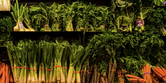 Prebiotics May Help Alleviate the Harmful Effects of Stress