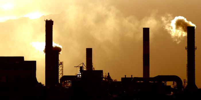 Global Warming Hiatus Wasn't Real, According to New Study