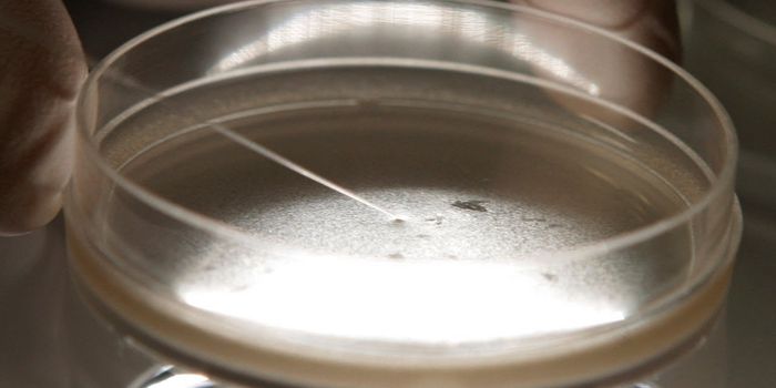 The Mechanism Behind an Enzyme Linking Metabolism and the Circadian Clock