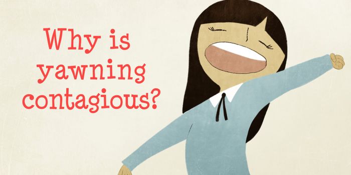 I yawn, you yawn: the contagion of yawning