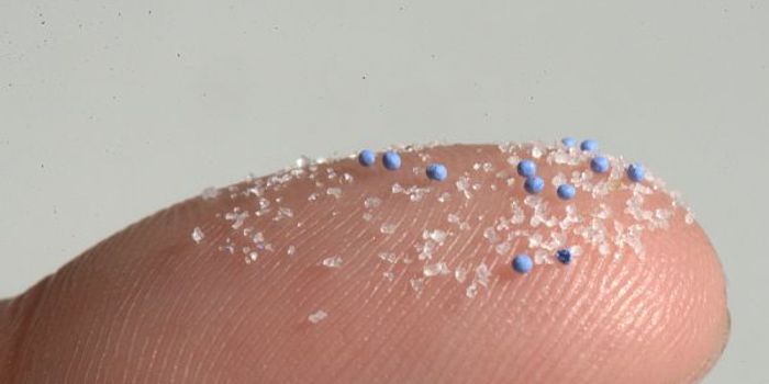 If you drink from plastic water bottles, you're likely ingesting plastic