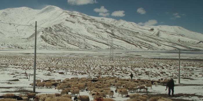 The Impacts of High Altitude on Metabolism & Health