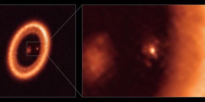A Moon-Forming Disc is Observed Surrounding an Exoplanet