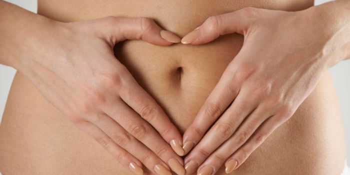 Fighting Heart Disease with Manipulation of the Gut Microbiome