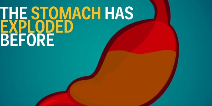 What Does it Take to Burst a Stomach?