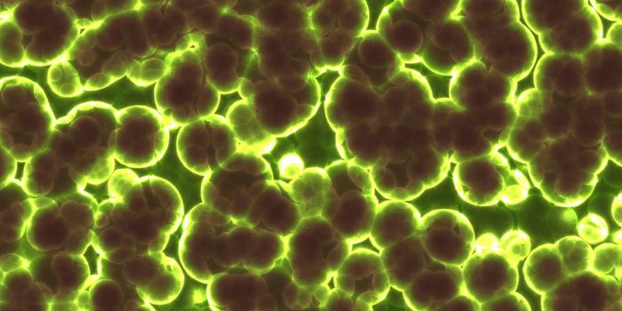 Detecting parasites only costs a few bucks