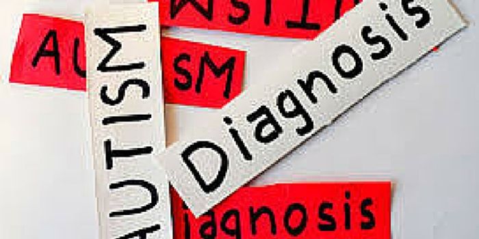 How a Cat Unlocked Autism for One Little Girl