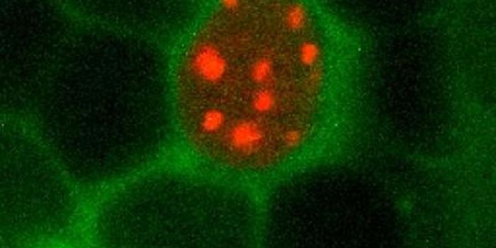 Why Sleep is Good for Us