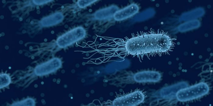 Fecal Transplants May Improve Cancer Treatment Efficacy